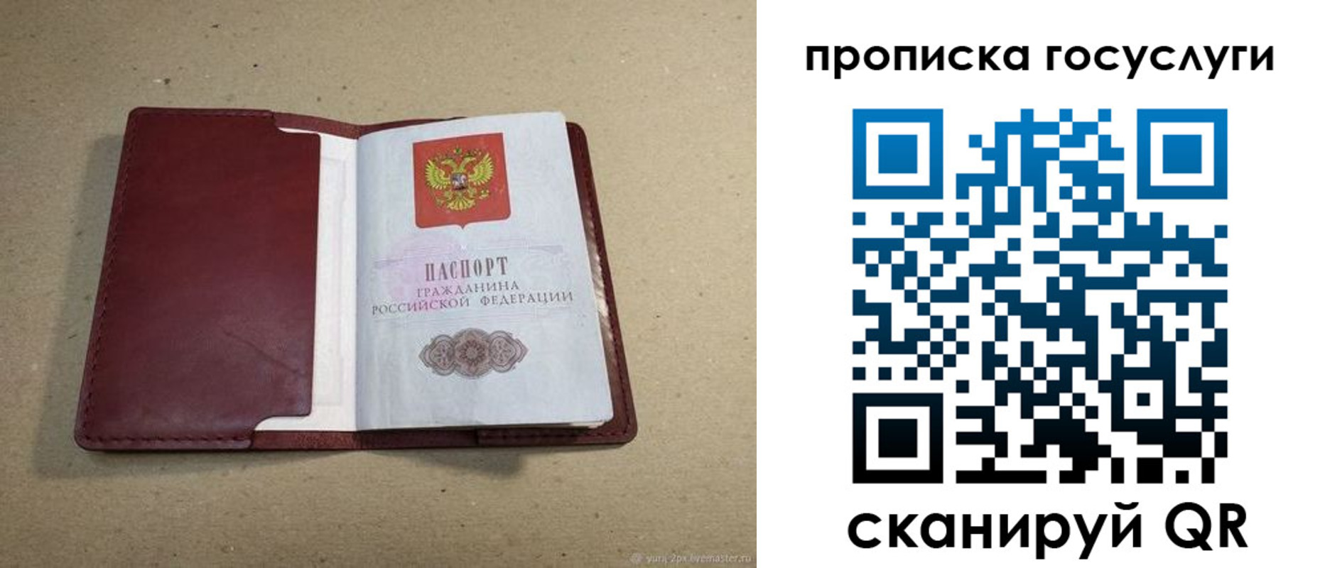 прописка поиск в Тынде